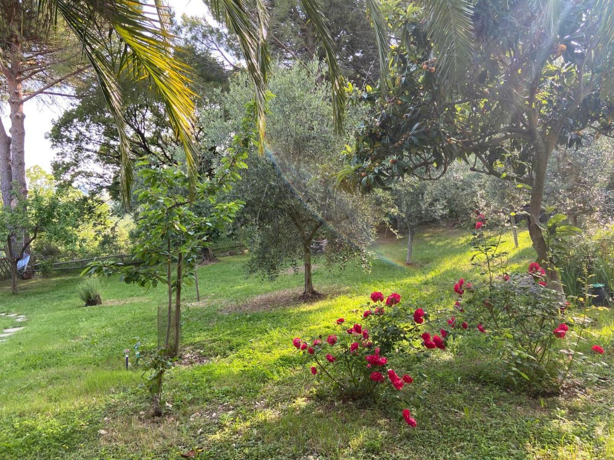 Villa Antonella Castellina Marittima Eksteriør billede