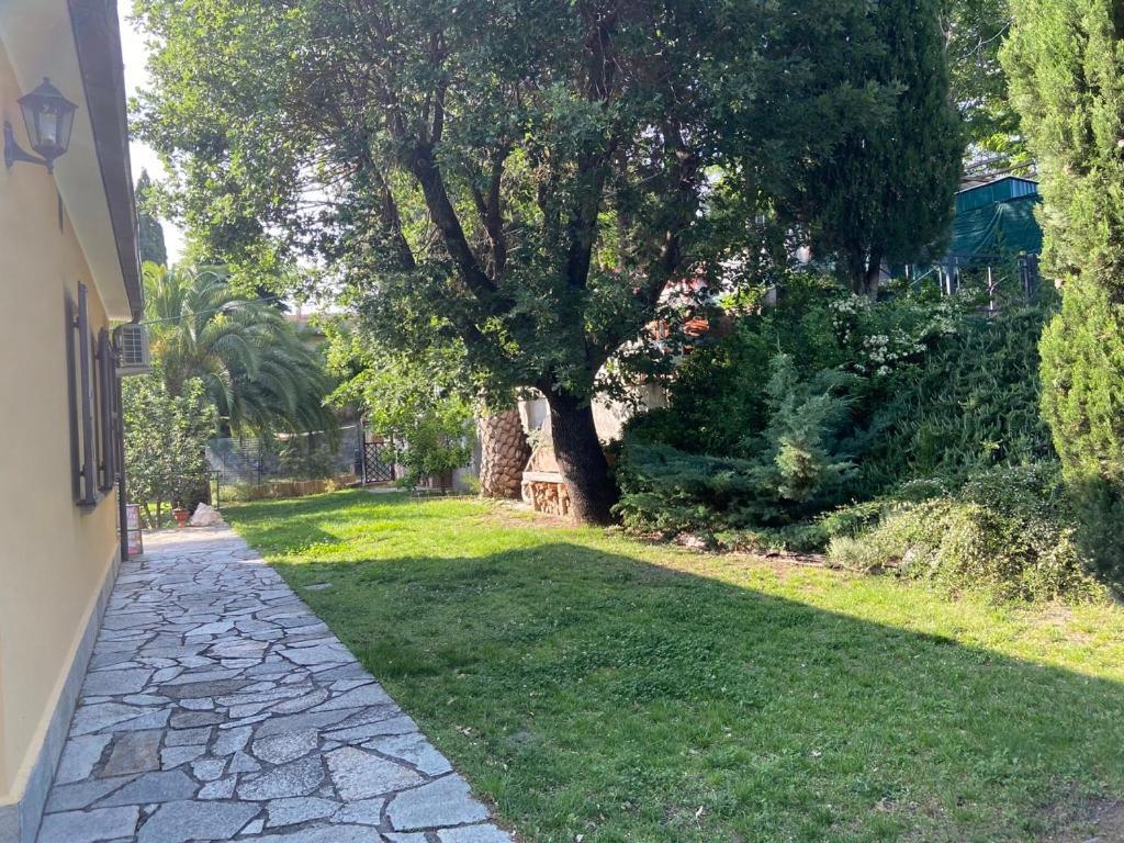 Villa Antonella Castellina Marittima Eksteriør billede