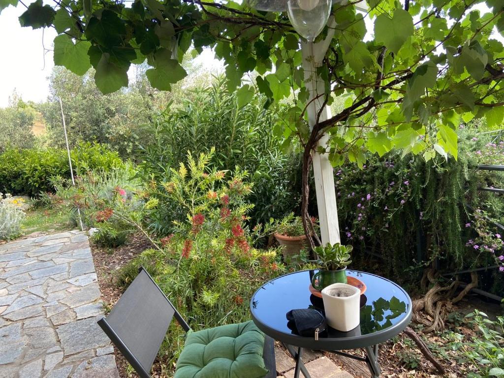 Villa Antonella Castellina Marittima Eksteriør billede