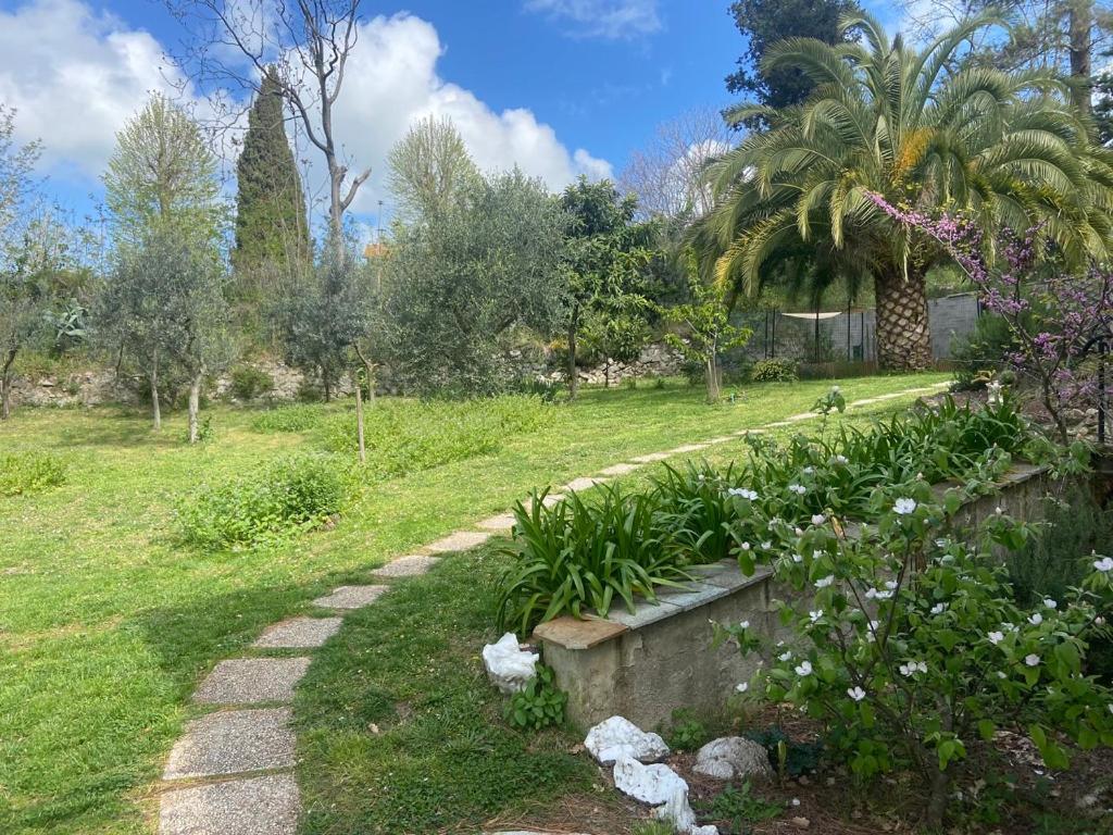 Villa Antonella Castellina Marittima Eksteriør billede