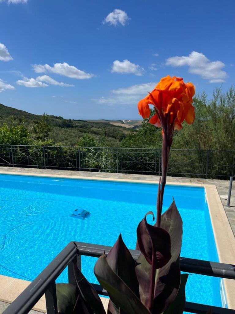 Villa Antonella Castellina Marittima Eksteriør billede